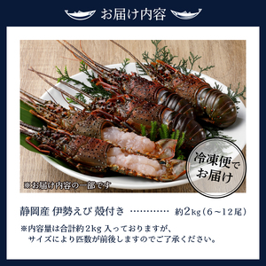 伊勢海老 三昧セットC 刺身用＋焼物用 (b100-035)