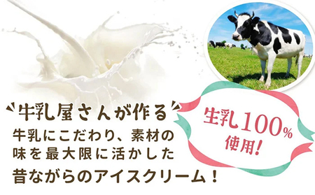 訳あり アイスもなか 3種 12個 食べ比べ アイス