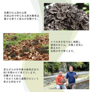 【先行予約】【2026年秋発送】丹波山村産原木舞茸500g+舞茸香油110g洋風セット 2026年9月下旬より順次発送予定【tab0178】