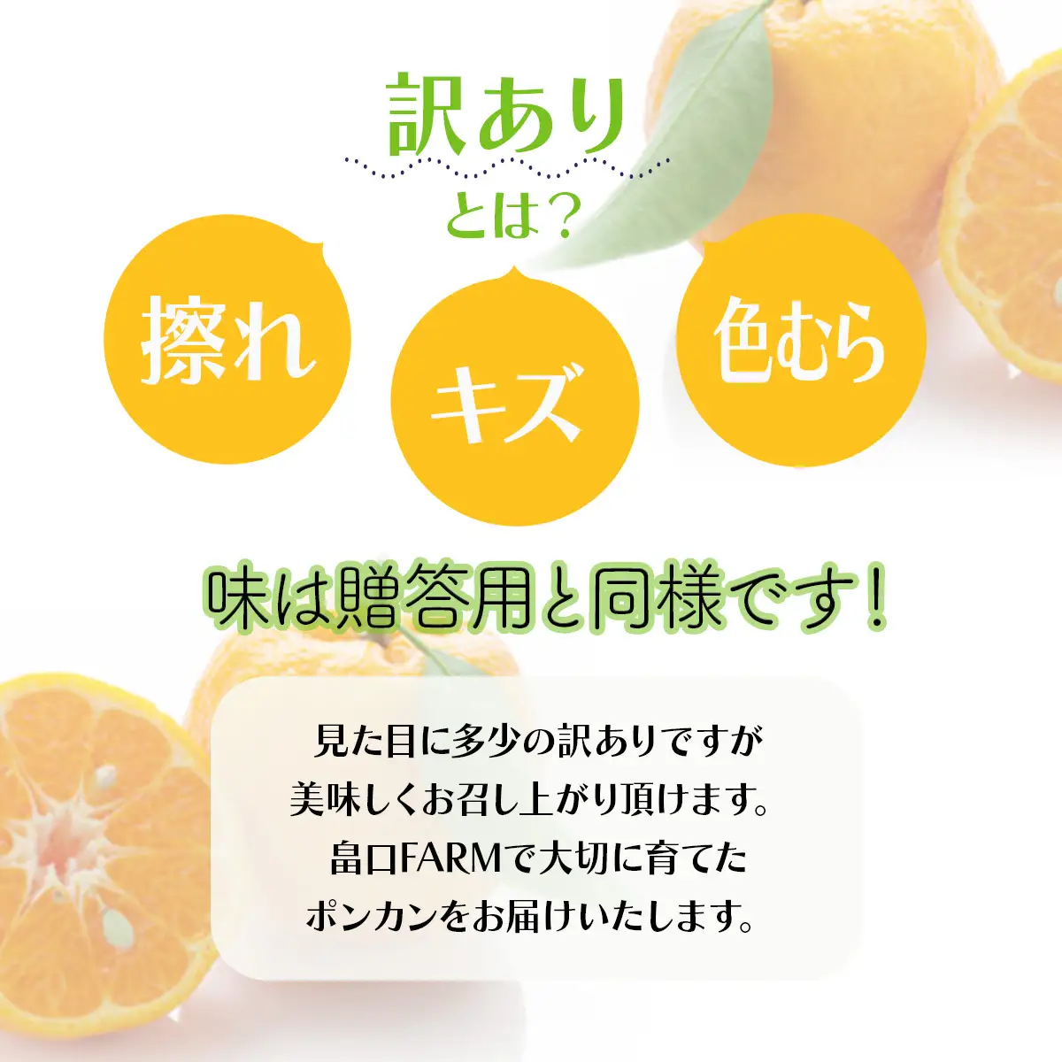 【先行予約】ポンカン 贈答用 5kg【畠口FARM（畠口　佳養）】