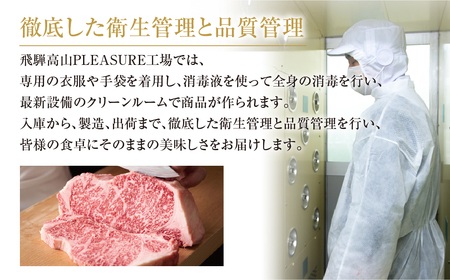 訳あり 飛騨牛 切落とし 500g 訳あり 飛騨高山ミート [MZ011]