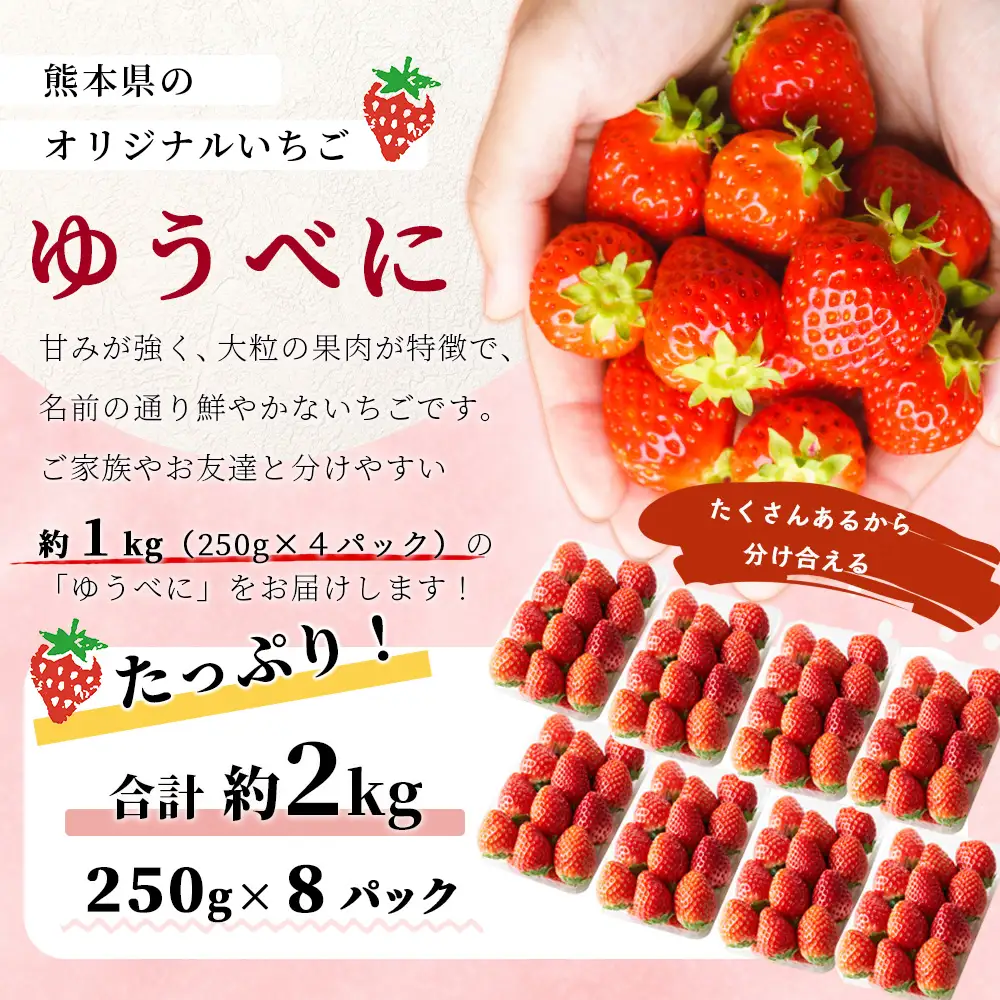 熊本県産 いちご ゆうべに  2kg (250g×8パック)【2027年出荷分】 イチゴ 果物 フルーツ 熊本県 多良木町 農園直送 107-0502