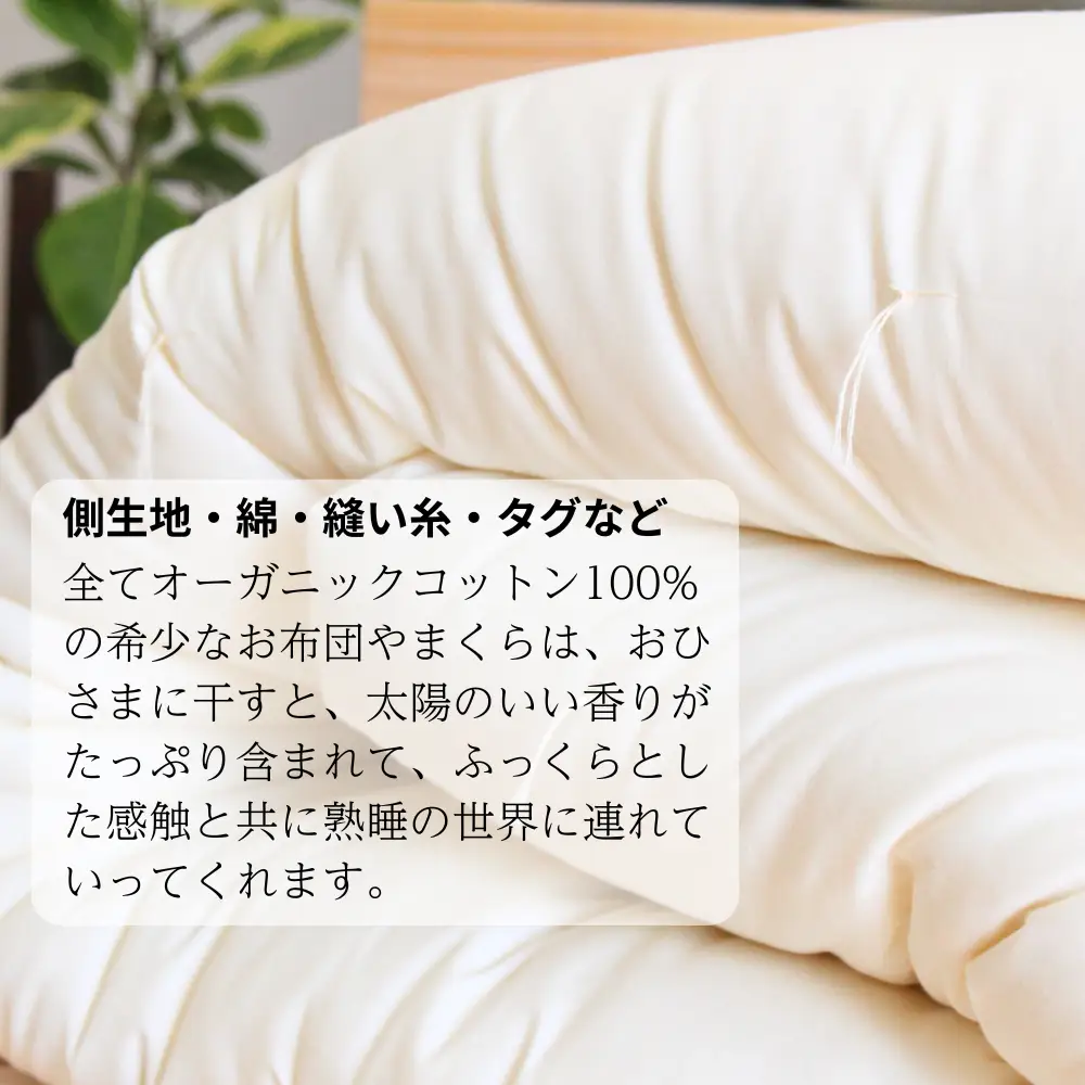 メイド・イン・アース の 純オーガニックコットン 100％の 薄まくら 枕 寝具 快眠 日本製