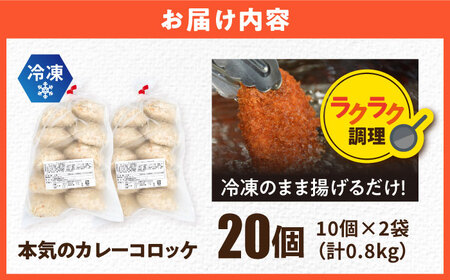 コロッケ 本気のカレーコロッケ20個 0.8kg / 冷凍 惣菜  [AKFJ017] 