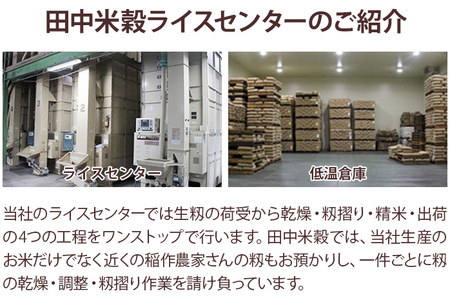 米 無洗米 白米 ご飯 ひのひかり 20kg 令和5年産 無洗米 福岡県 大木町産 ヒノヒカリ 20kg （5kg×4袋） 福岡県 大木町 株式会社田中米穀 BC11
