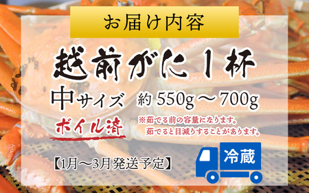 【先行予約】越前港より直送！ 越前がに 中 (約550g～700g) 1杯 ※発送前に在宅確認の電話連絡をいたします!【1月～3月発送】  海鮮  ボイル 
