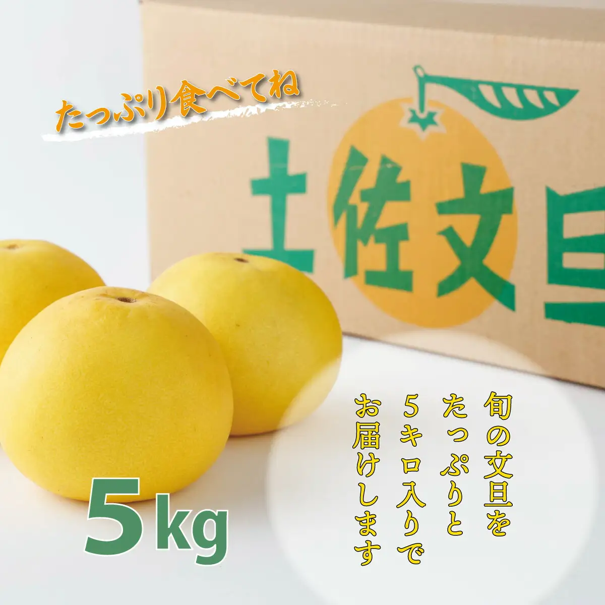 訳ありポンカン 3kg（L~3Lサイズ） 【田中農園】