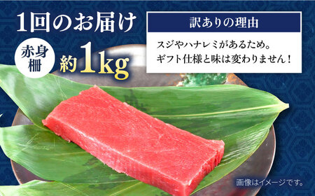【全3回定期便】【訳あり】天然 まぐろ 赤身（約1kg） わけあり ワケあり 鮪 マグロ 魚 刺身 まぐろ あかみ 横須賀【横須賀商工会議所 おもてなしギフト事務局（本まぐろ直売所 横須賀本店）】 [AKAK056]