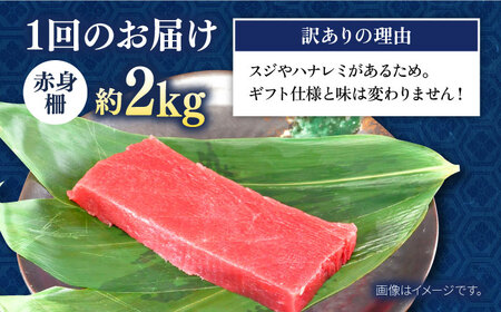 【全6回定期便】【訳あり】天然 まぐろ 赤身（約2kg） わけあり ワケあり 鮪 マグロ 魚 刺身 まぐろ あかみ 横須賀【横須賀商工会議所 おもてなしギフト事務局（本まぐろ直売所 横須賀本店）】 [AKAK060]
