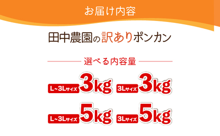 訳ありポンカン 5kg（L~3Lサイズ） 【田中農園】