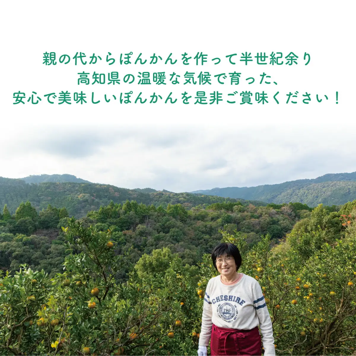【先行予約】秀品ポンカン＜5kg＞　Teshi04 [TS-01] 【ファーム手島】
