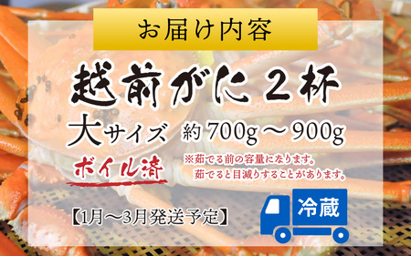 【先行予約】越前港より直送！ 越前がに 大 (約700g～900g) 2杯 ※発送前に在宅確認の電話連絡をいたします!【1月～3月発送予定】  海鮮  ボイル 