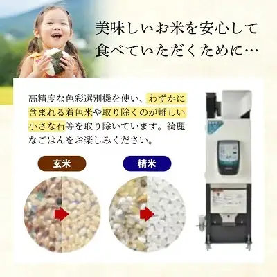 令和7年産 幸手市産 コシヒカリ 白米27kg 色彩選別済 White Rice - お米 米 こしひかり 精米 27kg 埼玉県 幸手市