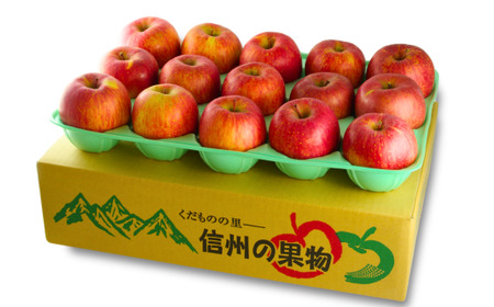 MZ10 南信州産 サンふじりんご 約5kg 贈答用 / 2026年12月中旬頃～12月下旬頃配送予定 // 長野県 南信州 さんふじ サンフジ ふじりんご 贈答 リンゴ 林檎
