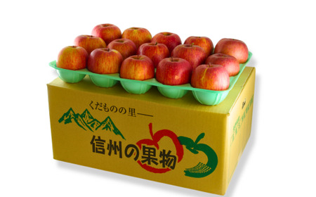 MZ11 南信州産 サンふじりんご 約10kg 贈答用 / 2026年12月中旬頃～12月下旬頃配送予定 // 長野県 南信州 さんふじ サンフジ ふじりんご 贈答 リンゴ 林檎