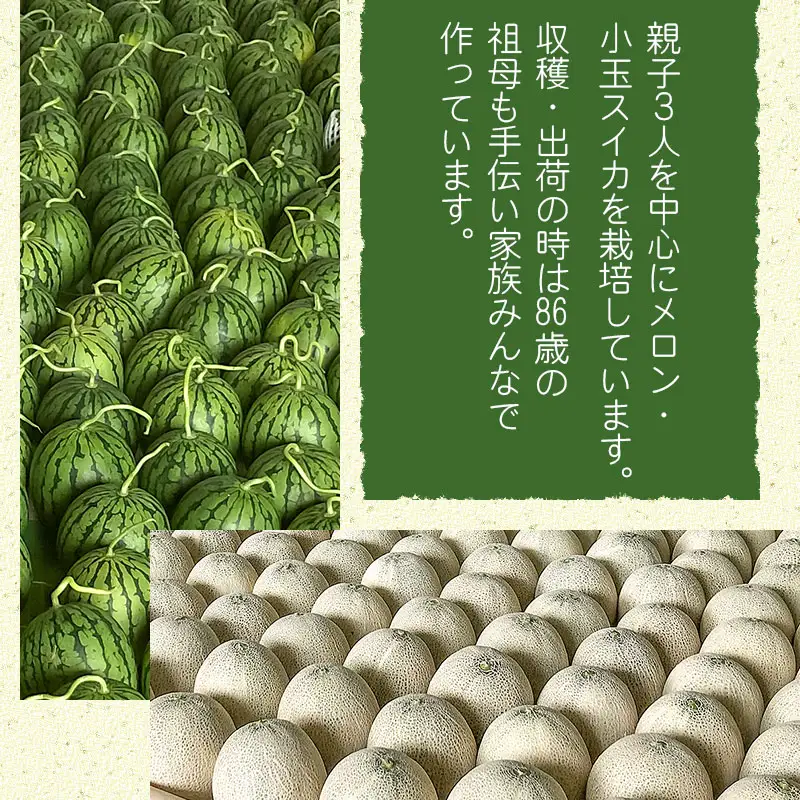 【令和8年産】 秋どりアンデスメロン 2玉 (3Lサイズ) 山形県鶴岡市産 庄内砂丘メロン　小林ファーム　| メロン めろん 秋採り 秋収穫 秋メロン フルーツ 果物 くだもの デザート 産地直送 山形 鶴岡 庄内 庄内産 東北 人気 おすすめ 美味しい 贈答 国産 お取り寄せ 返礼品