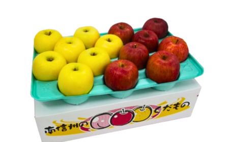 MZ14 サンふじ＆シナノゴールド食べ比べセット 約5kg 贈答 / 2026年12月中旬頃〜12月下旬頃配送予定 // 長野県 南信州 りんご 食べ比べ 詰め合わせ 贈答 ギフト 黄色りんご サンフジ
