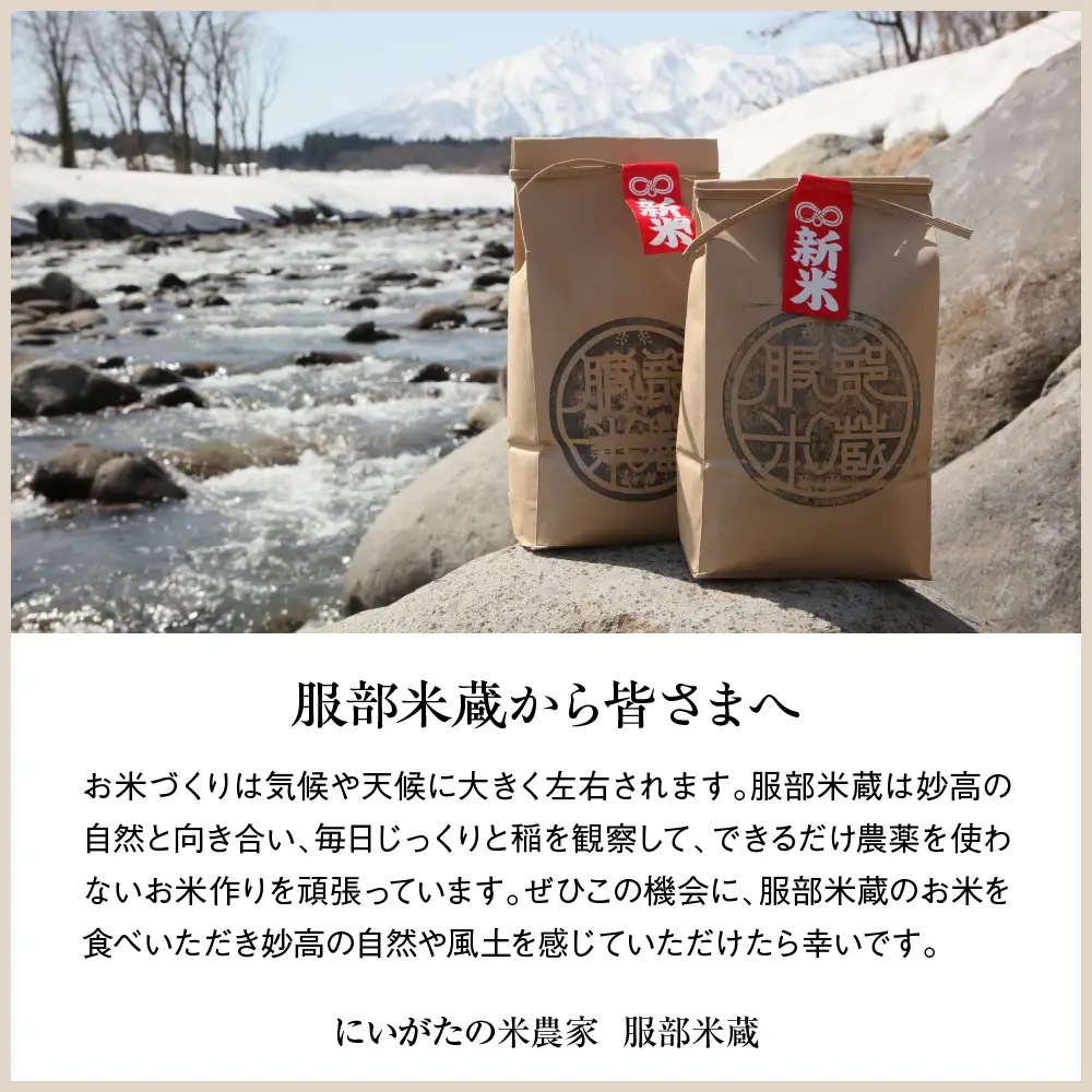 先行予約【令和8年産】服部米蔵の妙高矢代産コシヒカリ10kg　10月中旬から発送