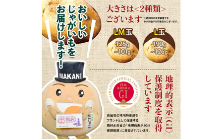 TVで紹介！【先行予約】今金男しゃく（LMサイズ）約10kg【GI認証取得】 じゃがいも 男爵 男しゃく いも だんしゃく 野菜 幻 北海道 今金町 GI認証 LMサイズ 10kg 青空レストラン F21W-286