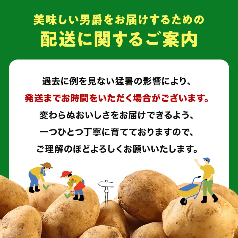 今金町産男爵いも じゃがいも 10kg【2026年10月下旬以降順次出荷】【F21X-486】