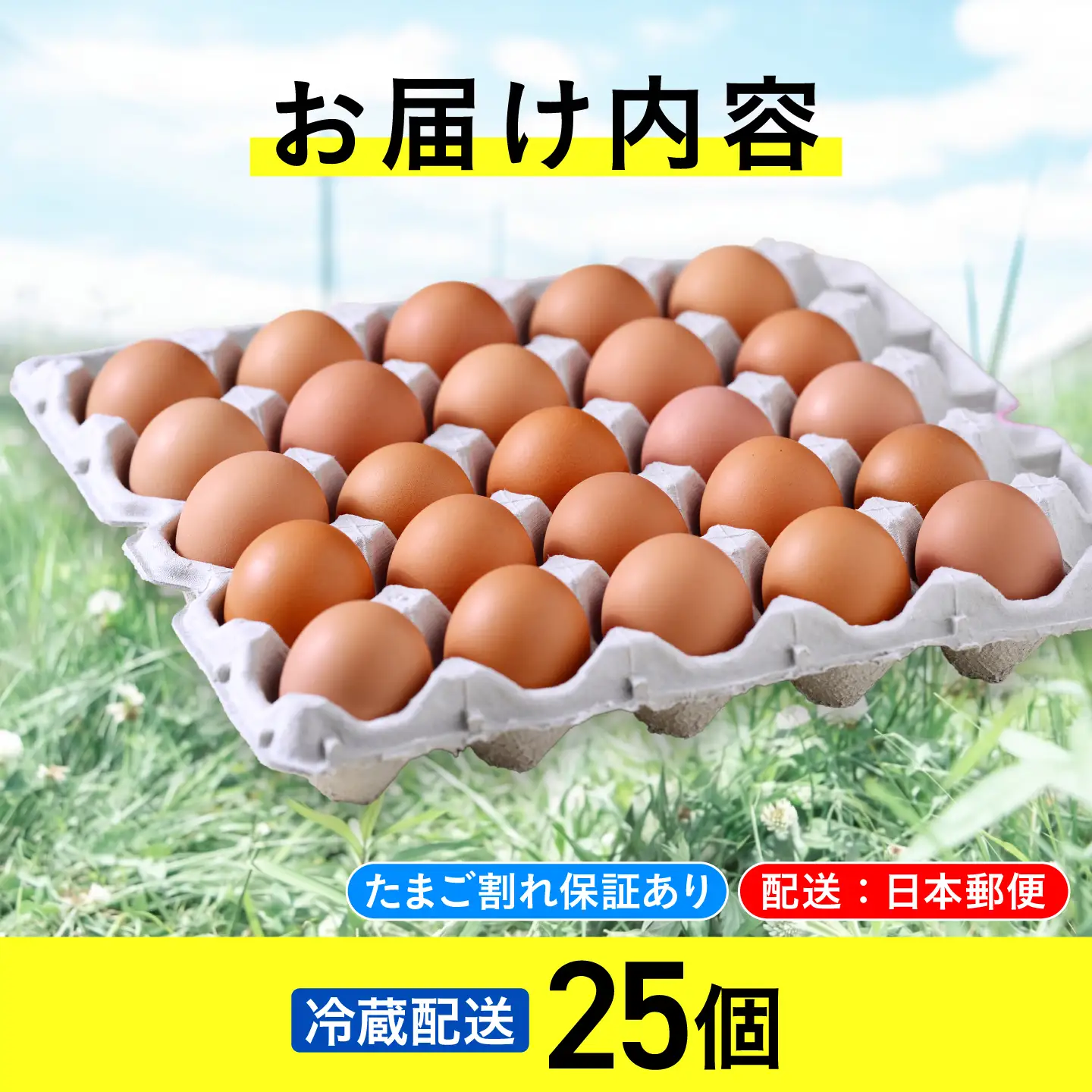 平飼い有精卵 25個 たまご 玉子 生卵 冷蔵 [AXAN011]