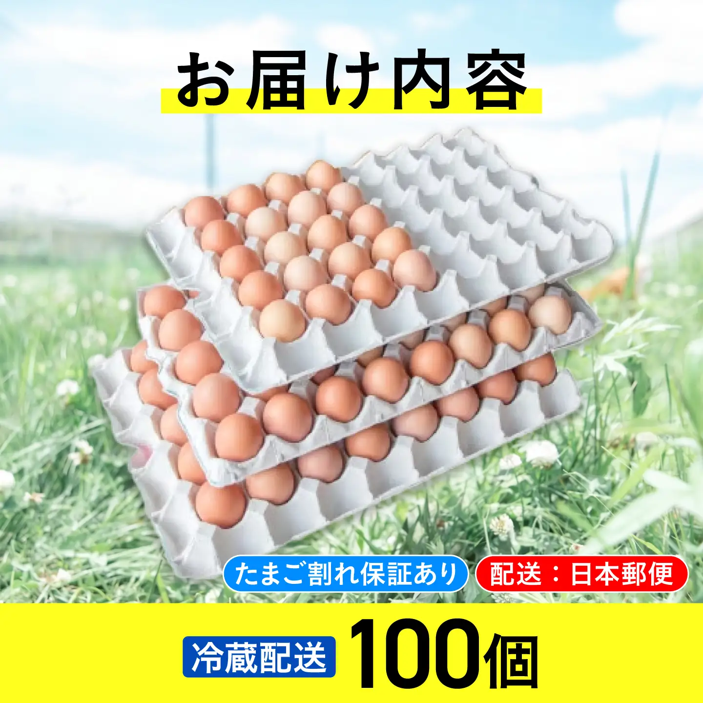 無投薬･平飼い たまご 100個 冷蔵 [AXAN035]