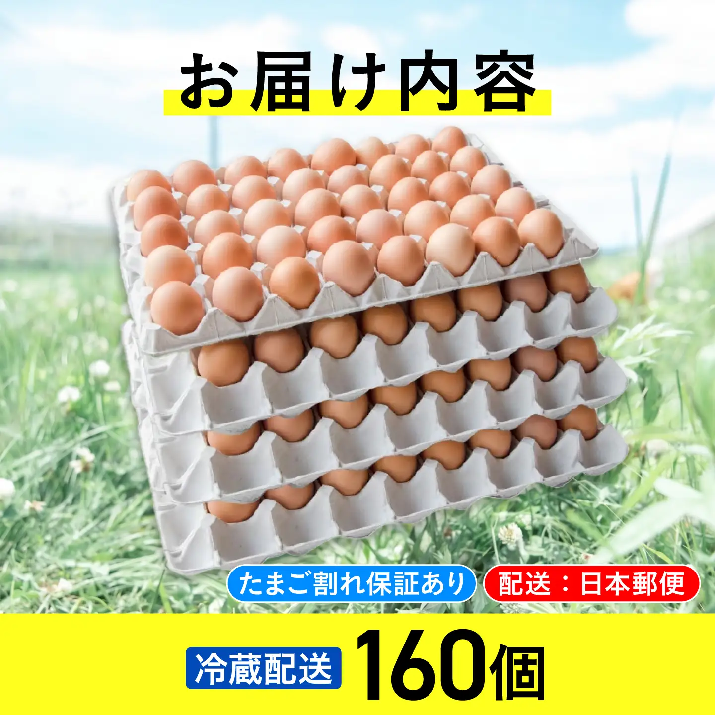 無投薬･平飼い 有精卵 160個 冷蔵 [AXAN034]