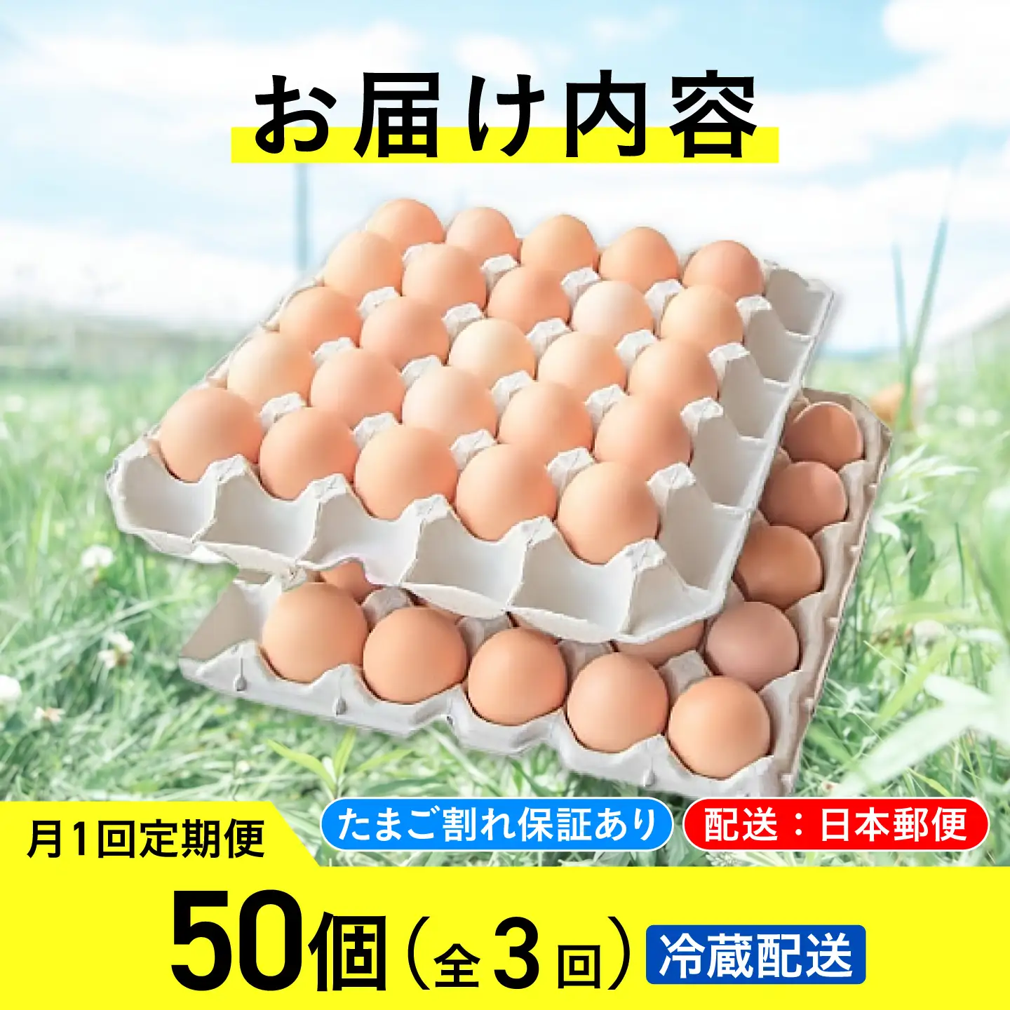 【3ヵ月定期便】平飼い有精卵 50個 計150個 [AXAN001]