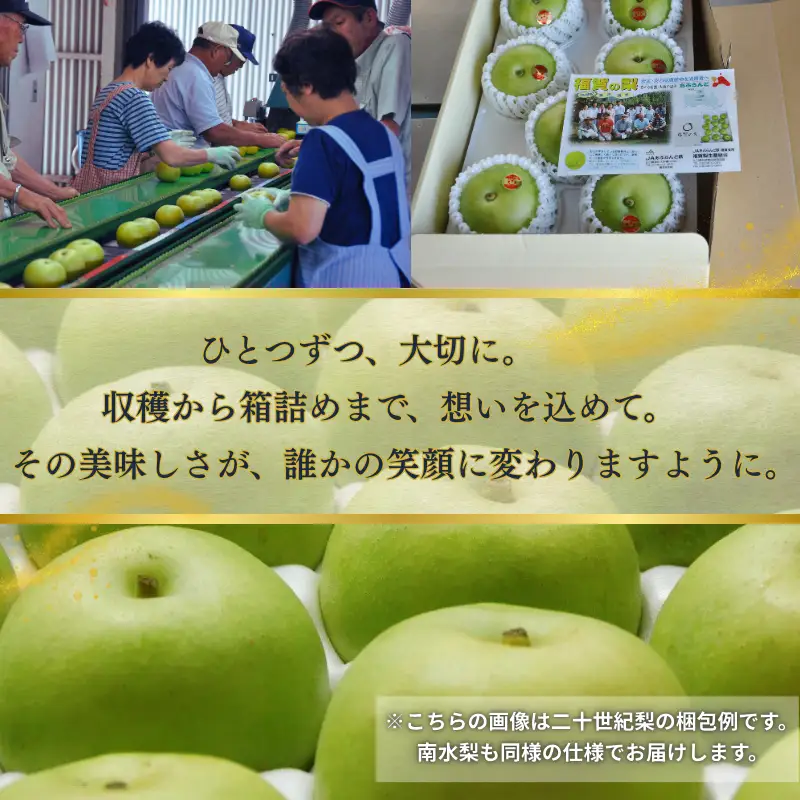 梨 福賀の南水梨 約3kg 7玉 山口県阿武町産 高糖度 シャキシャキ食感 数量限定 【2026年9月20日頃～順次発送】