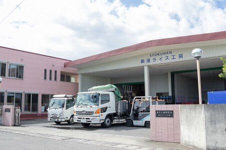 DD105【3回定期便】特別栽培米ながさきにこまる  5kg