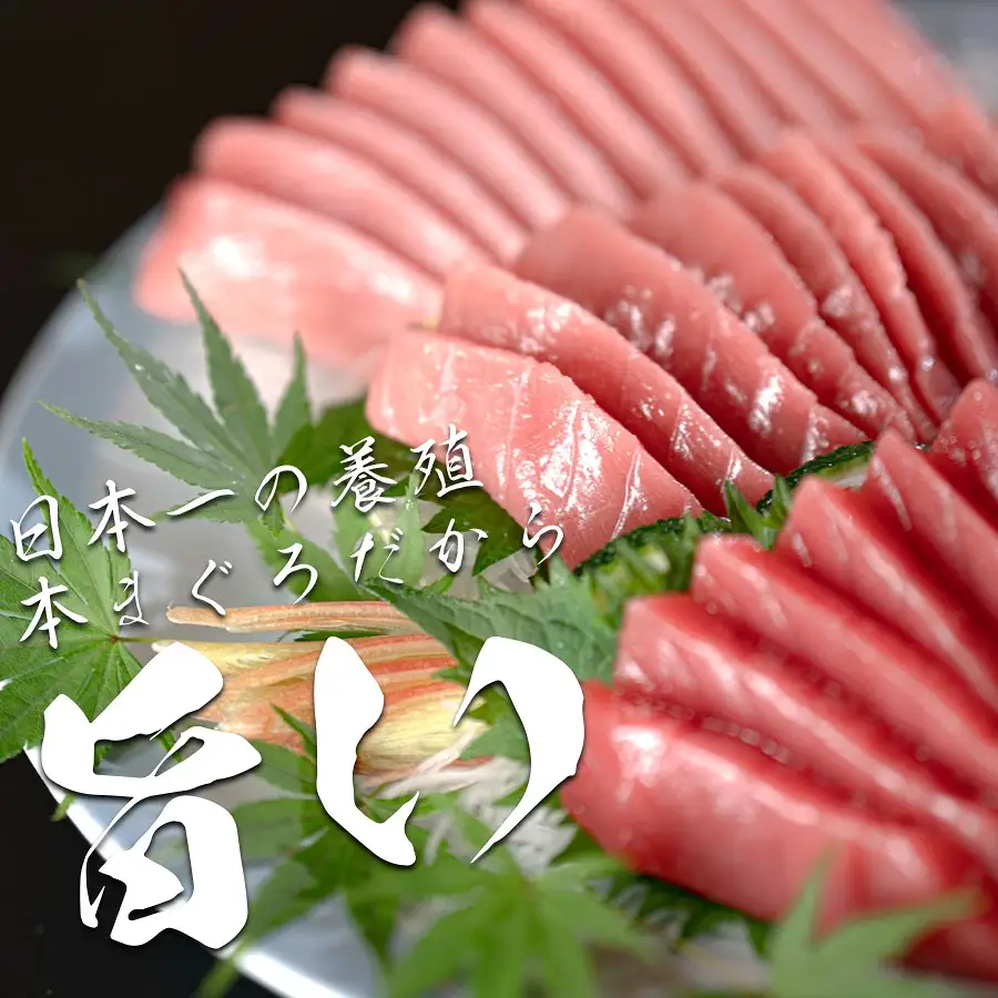 訳あり 不定貫 黒潮本まぐろ3種セット (PT0091_0367)