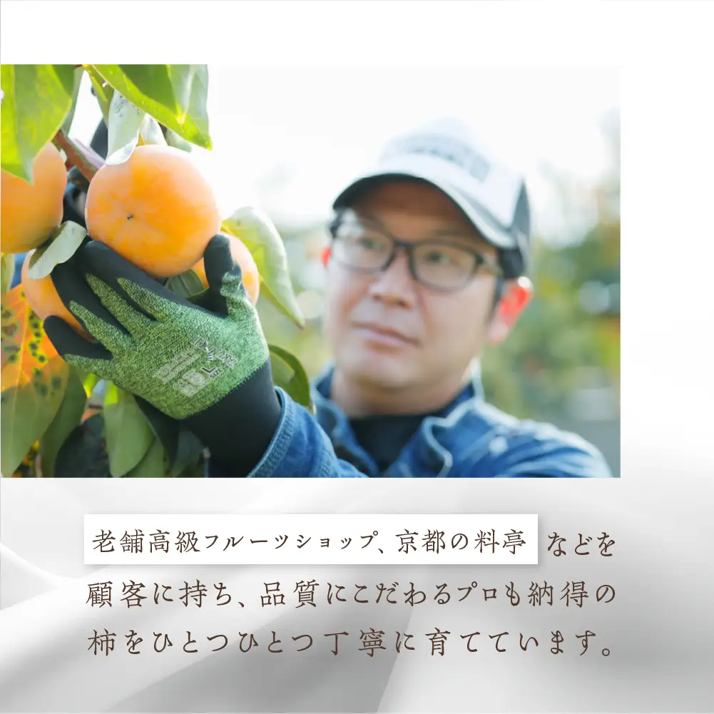[先行予約]《訳あり》西垣農園 富有柿 約3kg 柿 [mt491]