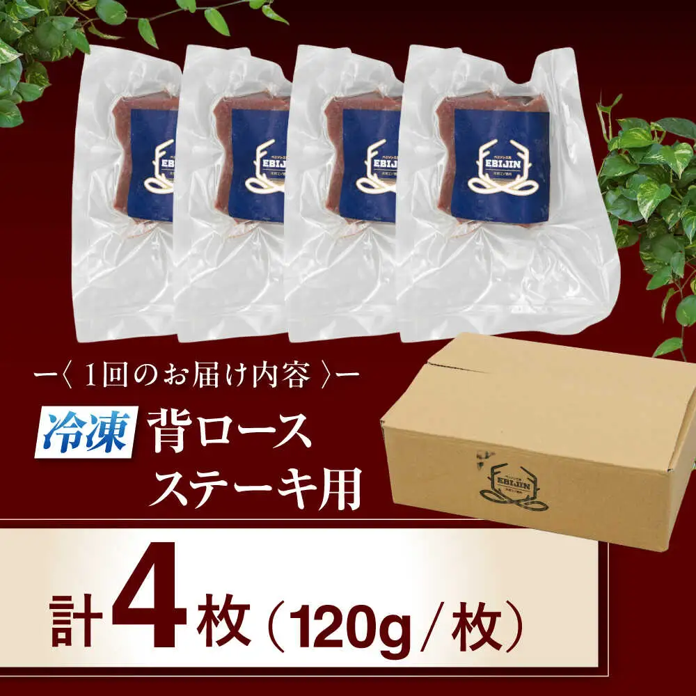 【全3回定期便】鹿肉 背ロース 4枚  ジビエ 赤身 冷凍配送 北海道 [AJAO037]