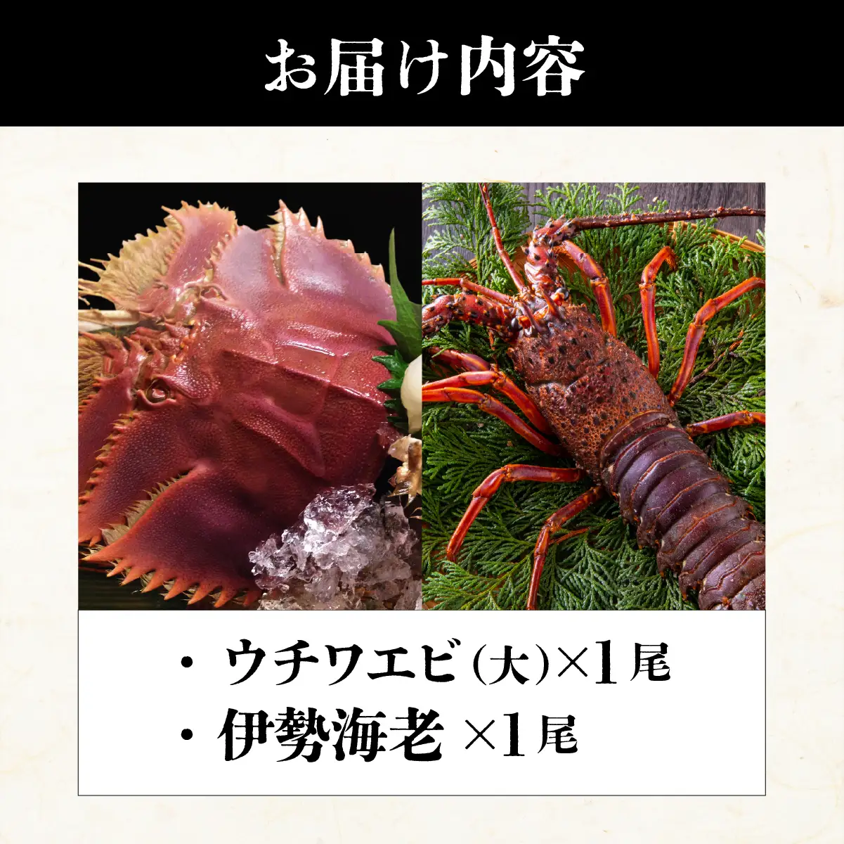 ウチワエビ(大)×1尾＆伊勢海老×1尾の豪華セット