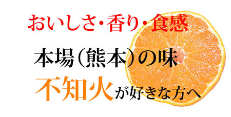 先行予約 訳あり 不知火 7kg【2027年1月中旬-2027年4月下旬発送予定】 しらぬい 果物 フルーツ 規格外 不揃い