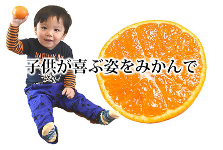 先行予約 訳あり みかん 10kg【2026年10月上旬～2027年2月中旬までに発送予定】柑橘 フルーツ 果物 くだもの 規格外 不揃い
