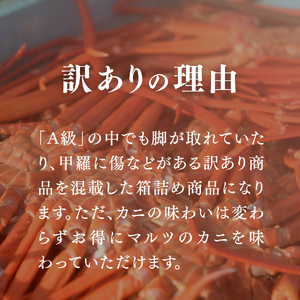 【北海道・沖縄・離島配送不可】【訳あり】蟹屋の釜茹で紅ずわい蟹1kg箱詰めセット 500g前後×2枚 ベニズワイガニ 紅ずわいがに カニ かに 境港 マルツ ボイルズワイガニ