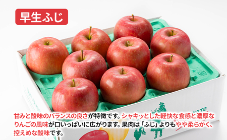 【先行予約】 9月中旬発送開始 訳あり りんご 詰め合わせ 2種以上 5kg 藤与果樹園 fujiyo014 りんご