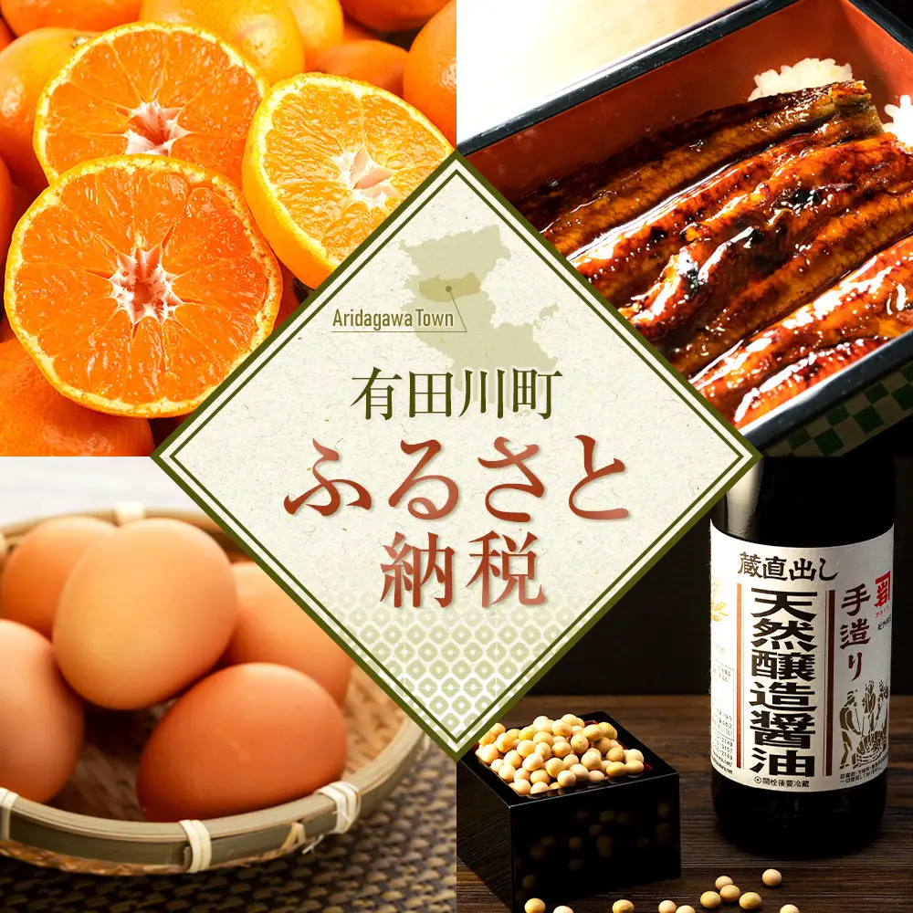 ［先行予約］和歌山県産 有田みかん 大玉 大粒 9kg 2L～3L