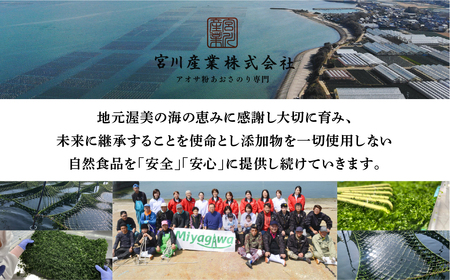 ≪先行予約≫期間限定！新物あおさのり 300g 海苔 100g×3袋 海苔