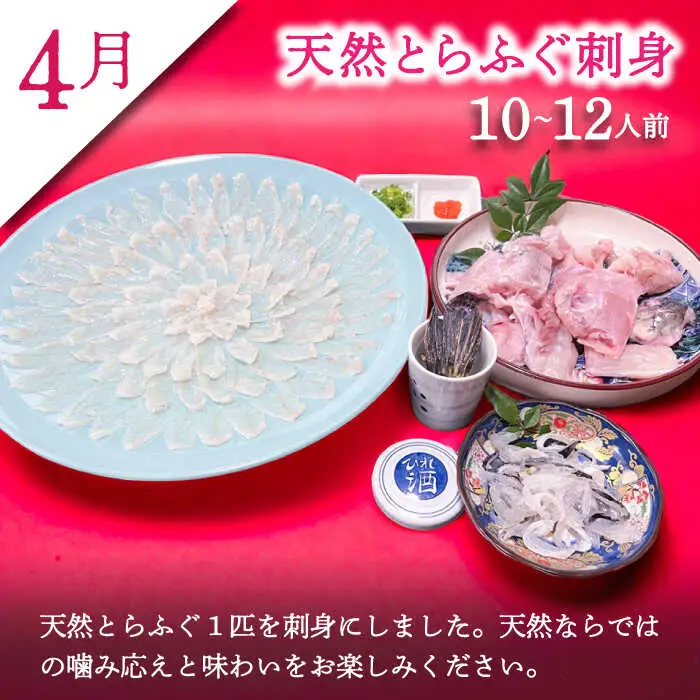 【2027年2月-初回発送】【3回定期便】南島原ふぐ三昧プレミアム 10人-12人前 / ふぐ フグ 河豚 トラフグ ふぐ刺し / 南島原市 / 大和庵 [SCJ033]