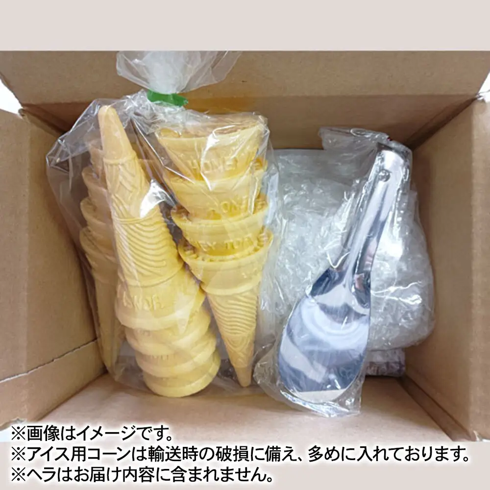 アイス 藤田アイス店 屋台アイスセット【イチゴ味×1個+りんご味×1個（りんご果肉入り）+コーン10個】