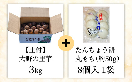 【先行予約】大野の里芋とたんちょう餅の詰め合わせA（里芋3kg+丸餅8個入り×1袋）【2026年11月30日より順次発送】[A-001069]