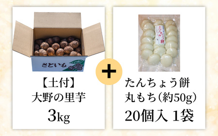 【先行予約】大野の里芋とたんちょう餅の詰め合わせB（里芋3kg+丸餅20個入り×1袋）【2026年11月30日より順次発送】[A-001070]
