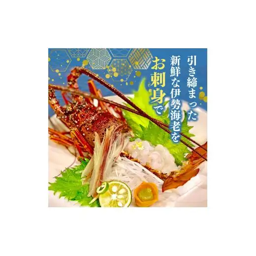 【伊勢海老】 冷凍伊勢海老 700g以上