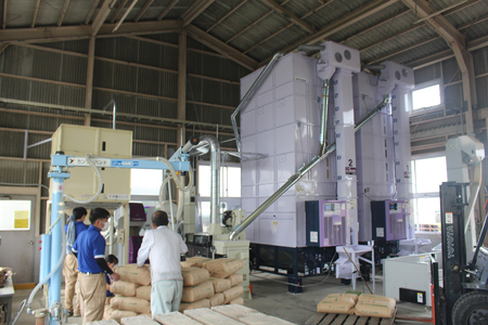 新米 コシヒカリ (玄米) 30kg | 杉戸農業高校 埼玉県 杉戸町