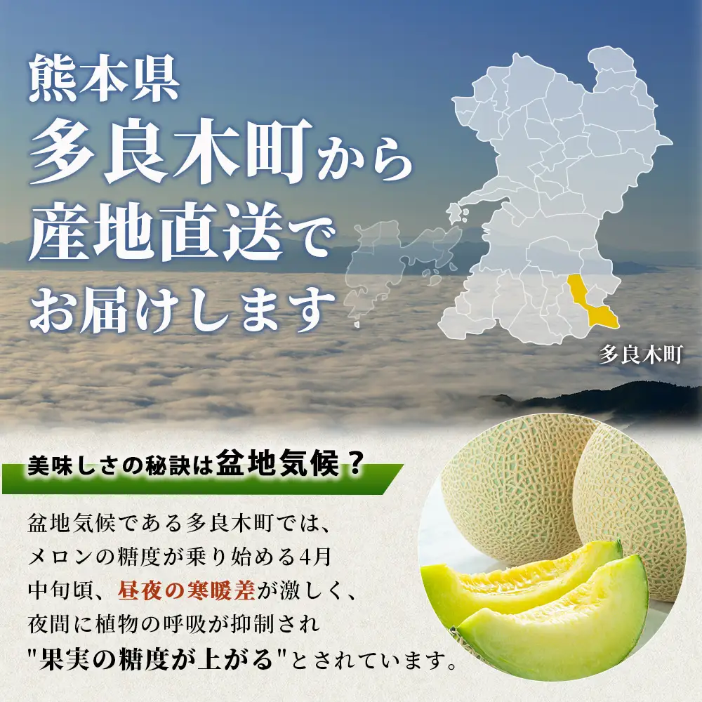 《2027年発送分 先行予約》 アンデスメロン 4玉～6玉 合計約5kg メロン 果物 フルーツ 熊本県 多良木町 108-0501