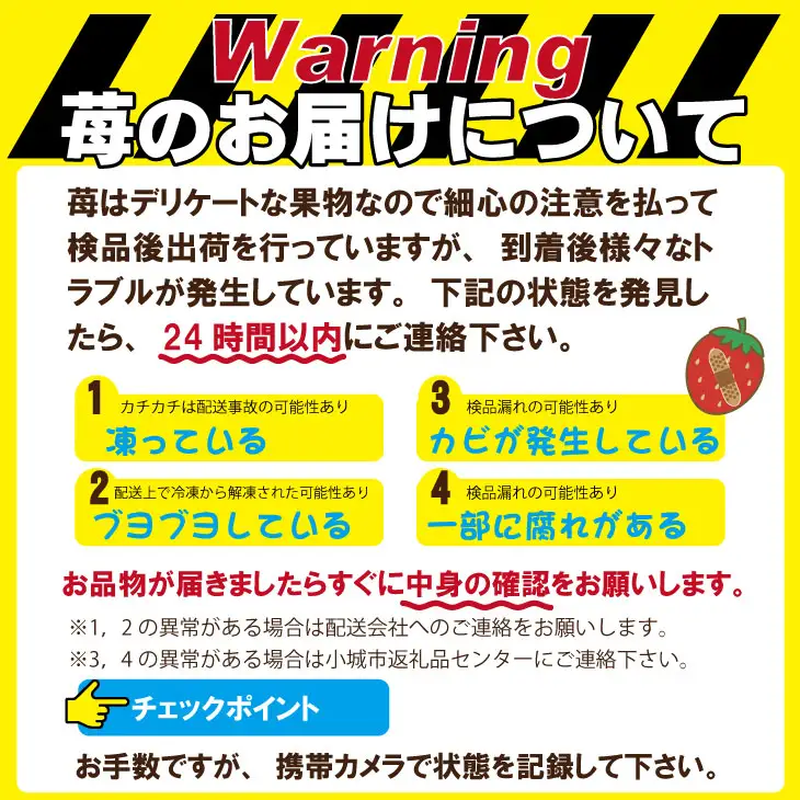 【先行予約】令和9年2月上旬頃出荷開始 いちごさん 2箱セット（600g）ふるかわ農園 苺 いちご 果物 A075-017