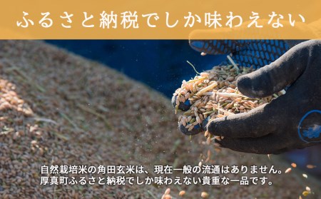 【全6回定期便】【玄米】 自然栽培米 角田玄米（ななつぼし）5kg《厚真町》【カクタファーム】 [AXAR002] 米 お米 玄米 ななつぼし ご飯 北海道 定期便