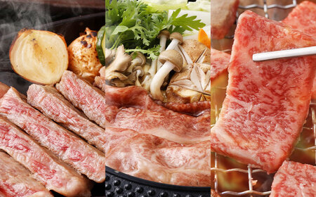 遠州夢咲牛 特盛set ステーキ用（約350g×2枚） すき焼き用（約900g） 焼肉用（約800g） 各1パック 計2.4kg 【ブランド牛】 お肉 肉 牛肉 和牛 冷蔵 ロース